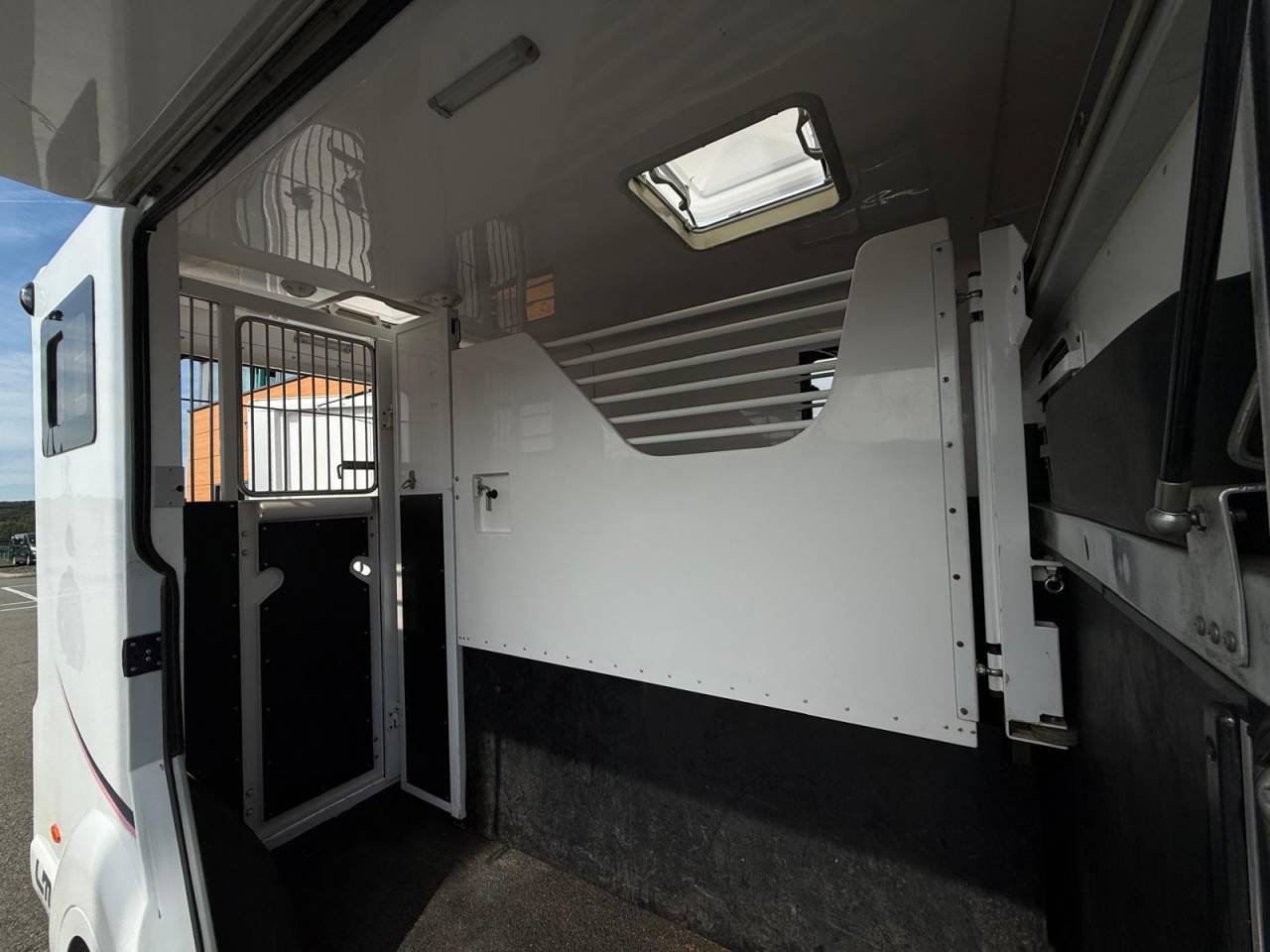 Van per Cavalli Barbot POLYVAN D3C 2019 Occasione