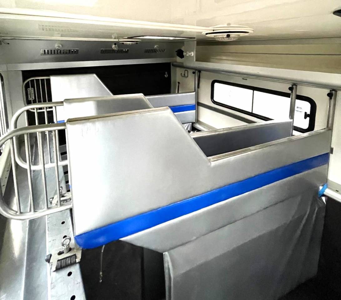 Camion per Cavalli Man MAN 0 Occasione