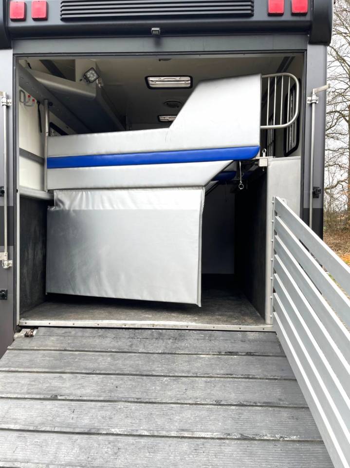 Camion per Cavalli Man MAN 0 Occasione