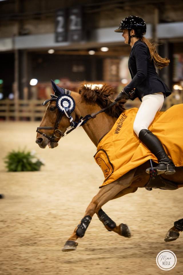 Castrone PFS Pony Francese da Sella In vendita 2011 Sauro ,  jocker de treho