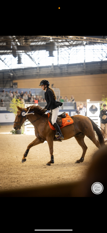 Castrone PFS Pony Francese da Sella In vendita 2011 Sauro ,  jocker de treho