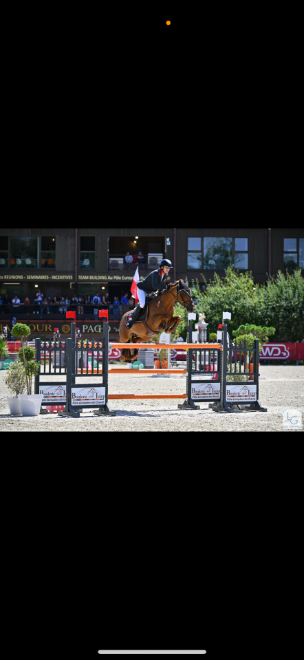 Castrone PFS Pony Francese da Sella In vendita 2011 Sauro ,  jocker de treho