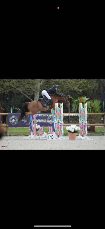 Castrone PFS Pony Francese da Sella In vendita 2011 Sauro ,  jocker de treho