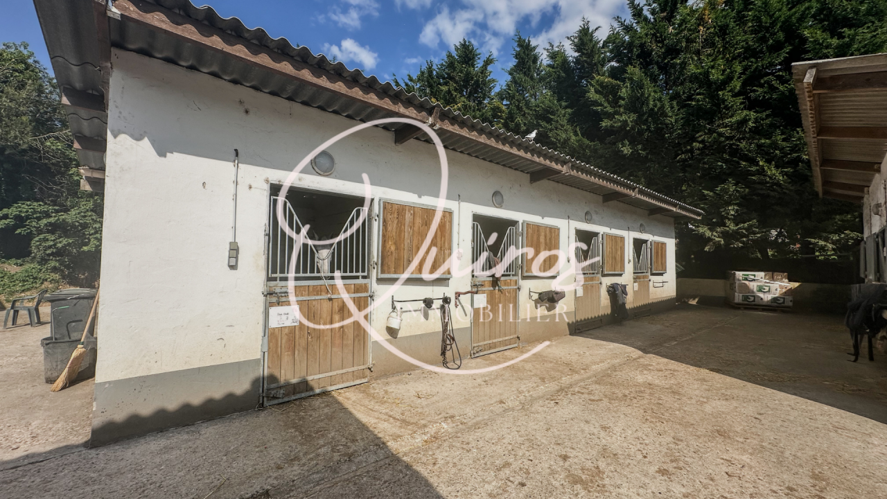 Centro ippico In vendita Yvelines