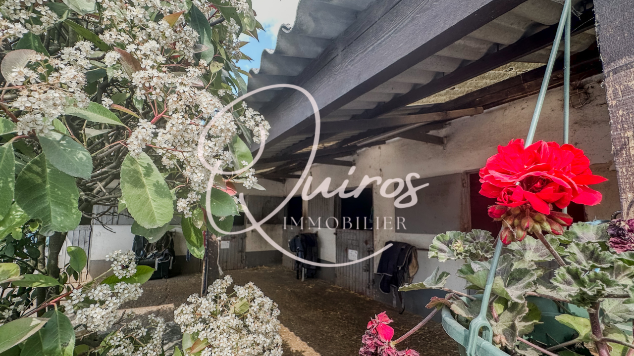 Centro ippico In vendita Yvelines