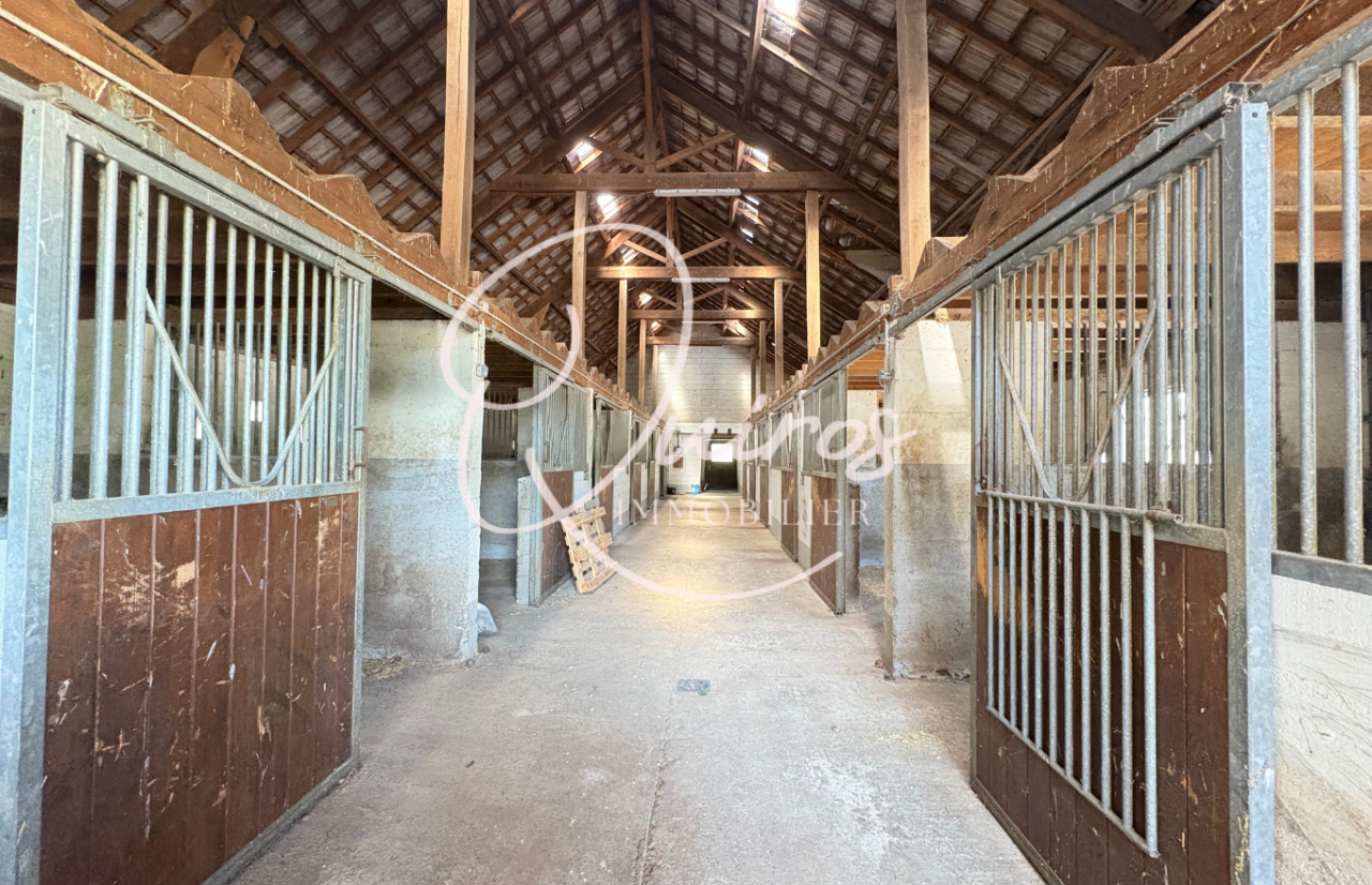 Scuderia per proprietari In vendita Seine-et-Marne