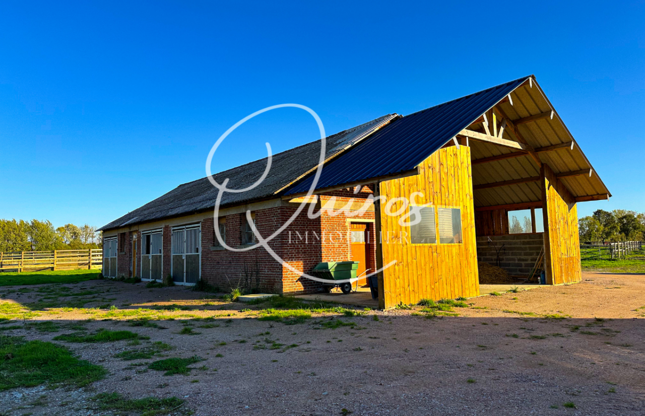 Bella dimora equestre In vendita Calvados