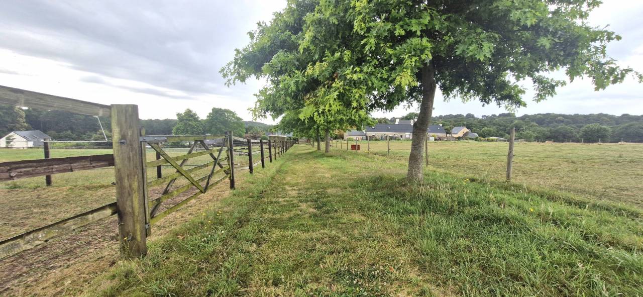 Bella dimora equestre In vendita Morbihan