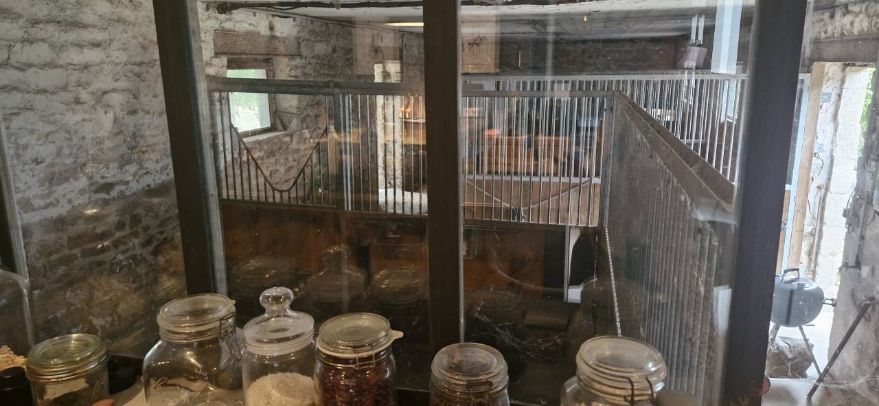 Bella dimora equestre In vendita Morbihan