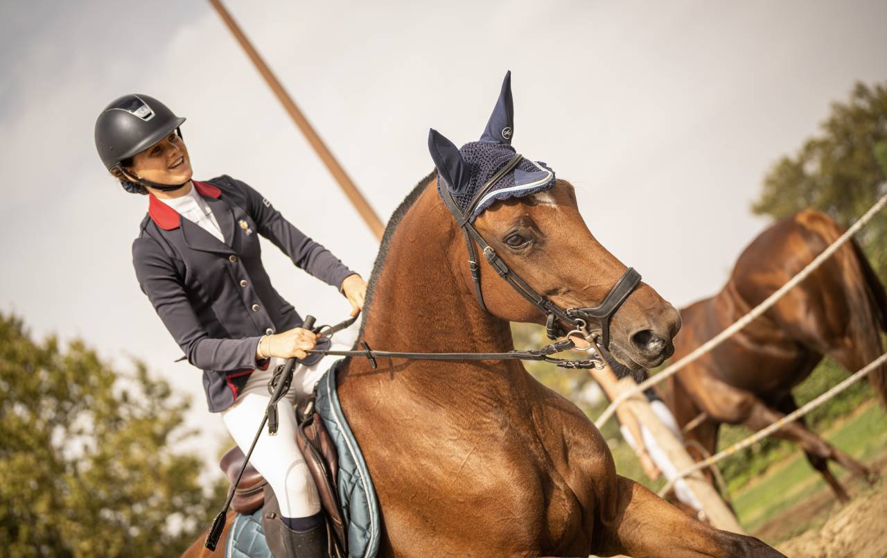 Cavalla Sella Francese In vendita 2018 Baio ,  OGANO SITTE