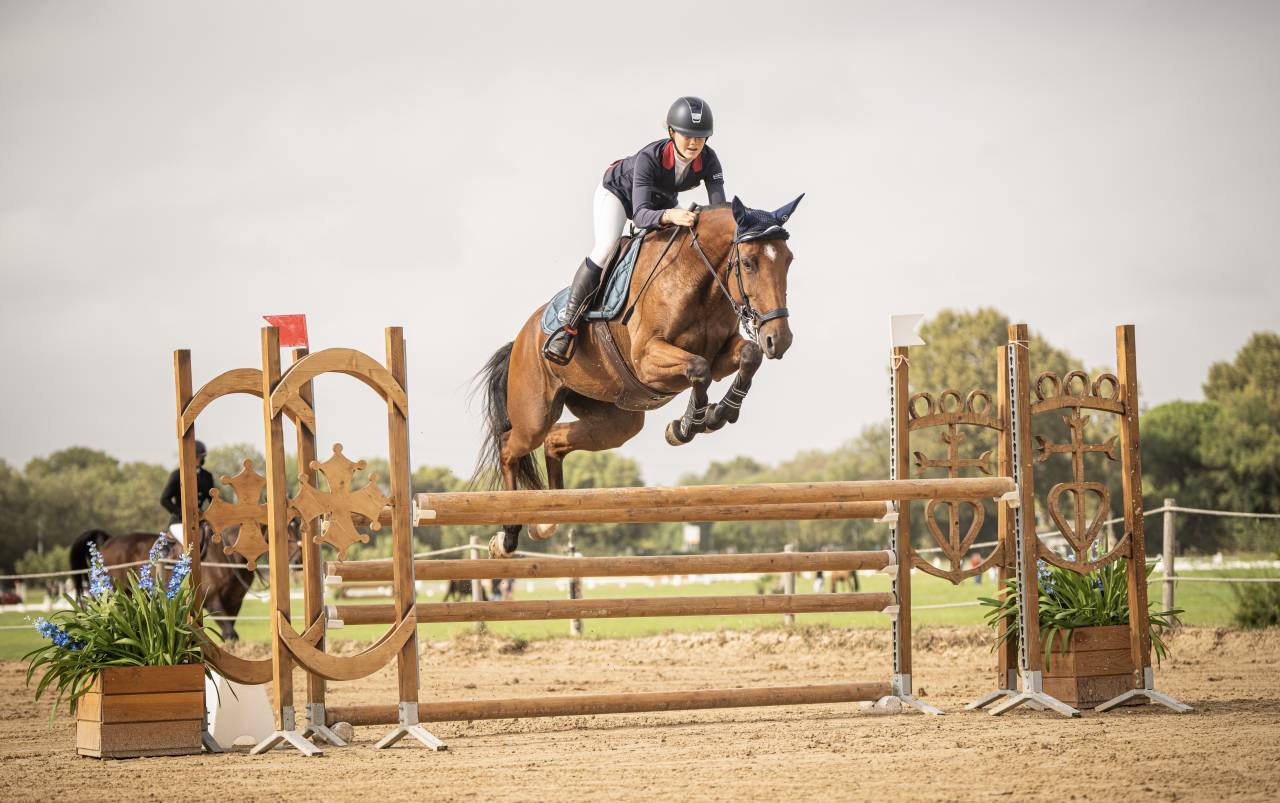 Cavalla Sella Francese In vendita 2018 Baio ,  OGANO SITTE