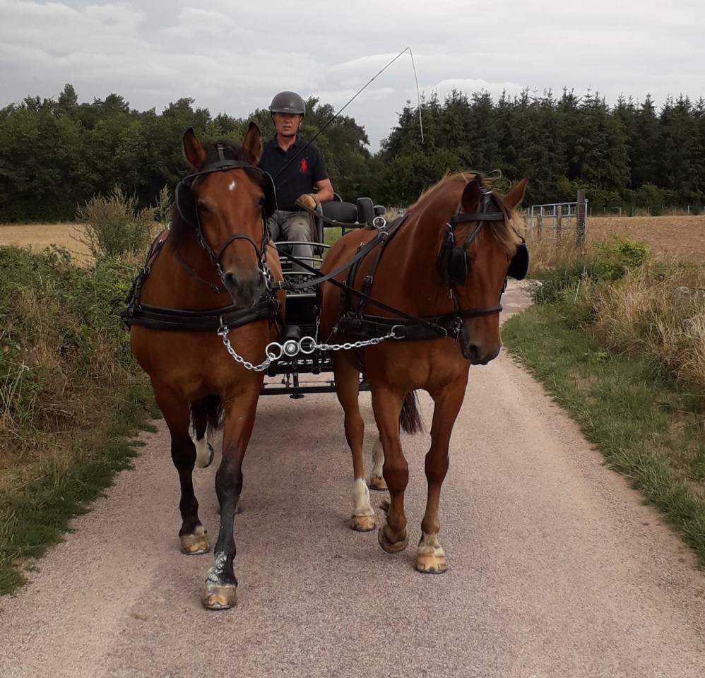 Attacchi - Marathon ricreazione - Altra marca - GLINKOWSKI TR5 