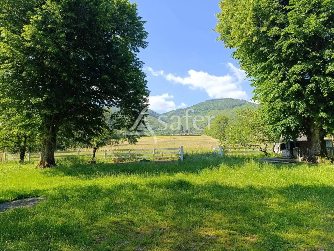 Proprietà rurale In vendita tarn