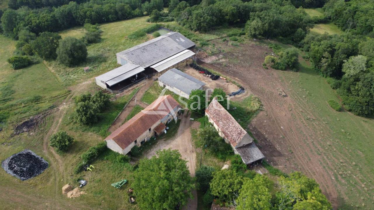 Azienda ovina In vendita Dordogne