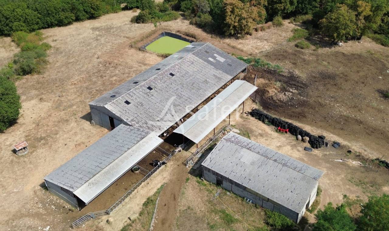 Azienda ovina In vendita Dordogne