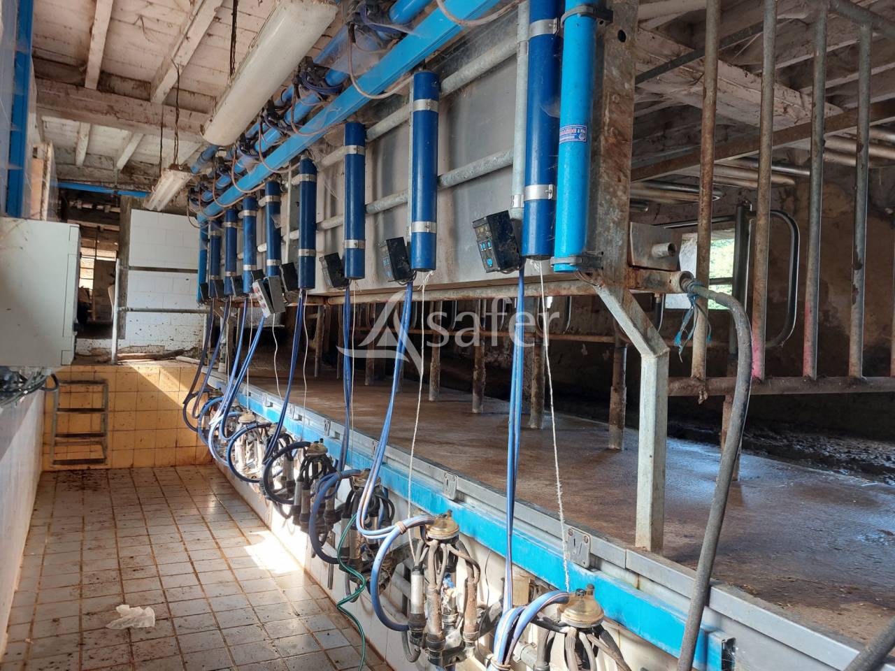 Azienda ovina In vendita Dordogne