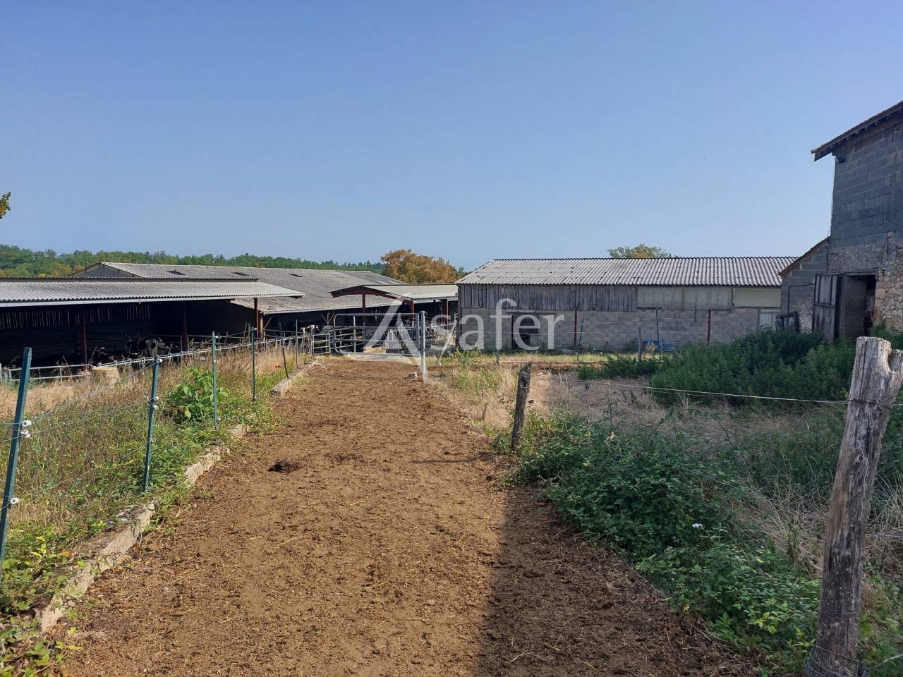 Azienda ovina In vendita Dordogne