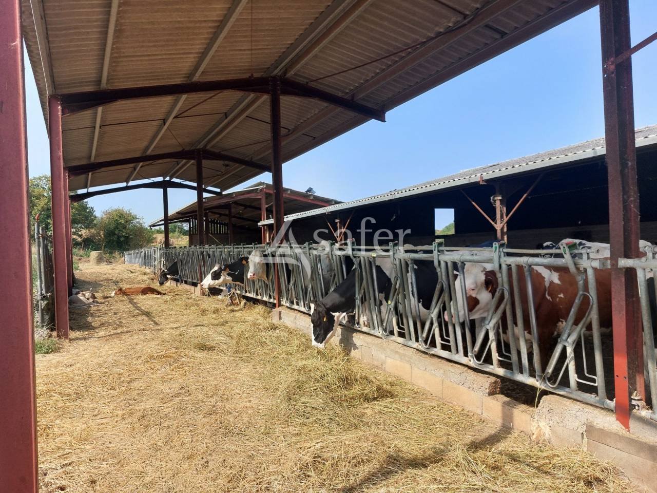 Azienda ovina In vendita Dordogne
