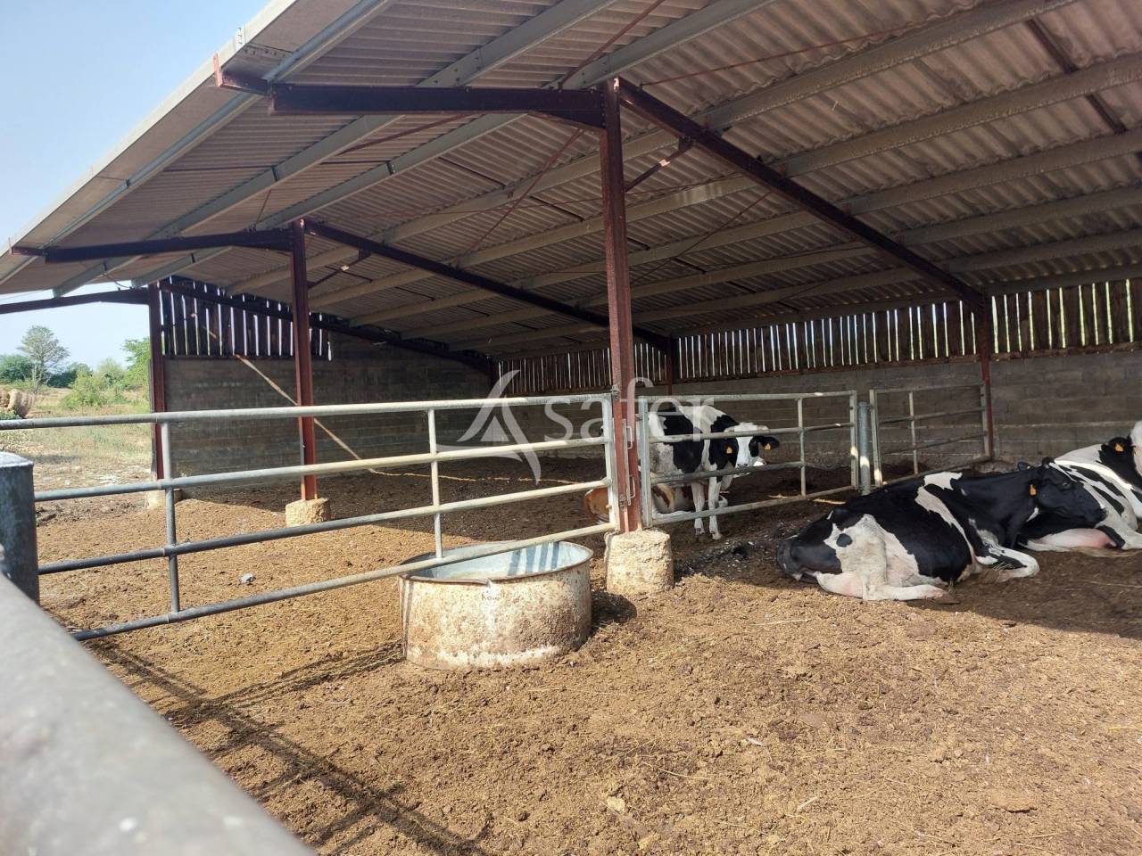 Azienda ovina In vendita Dordogne