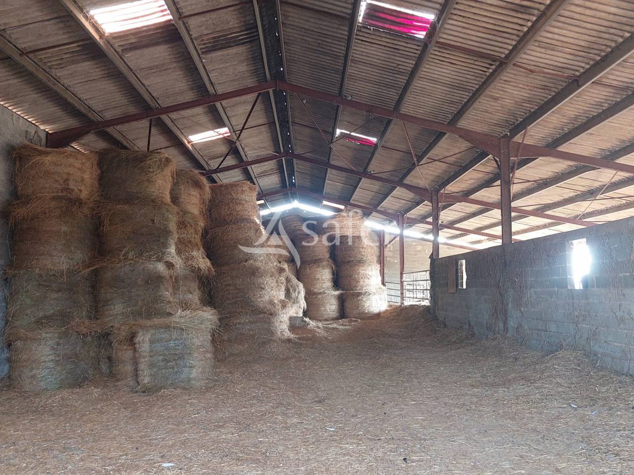 Azienda ovina In vendita Dordogne