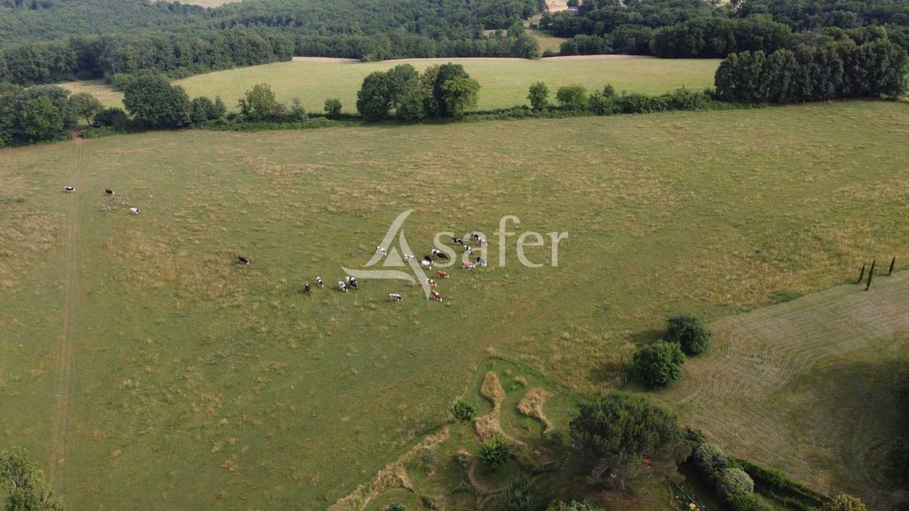 Azienda ovina In vendita Dordogne