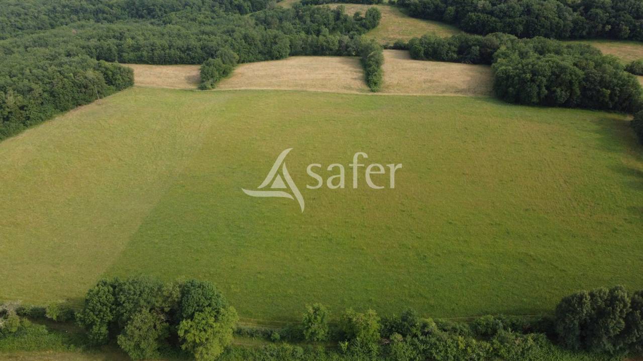 Azienda ovina In vendita Dordogne