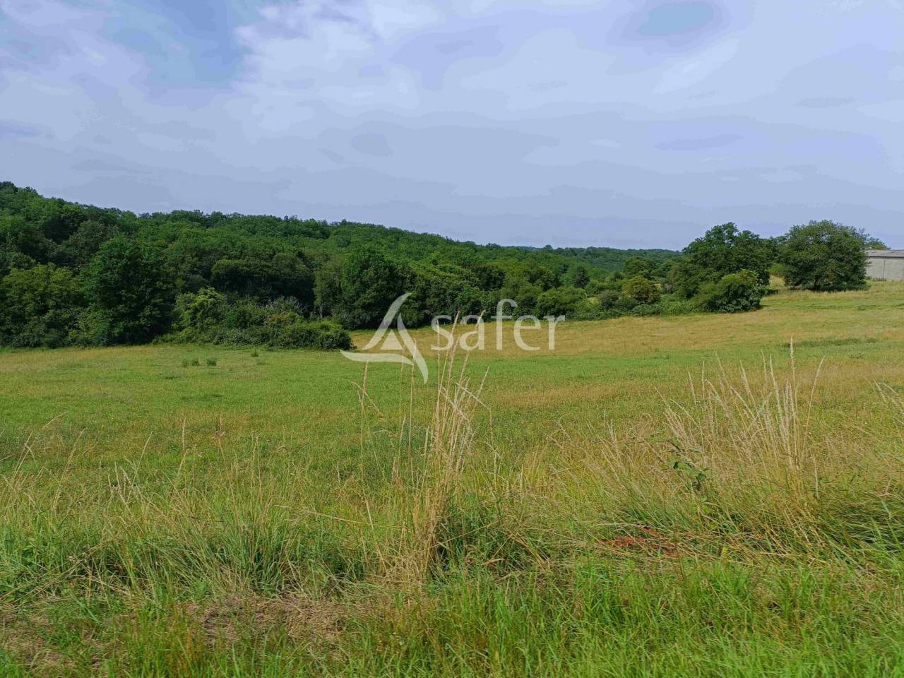 Azienda ovina In vendita Dordogne