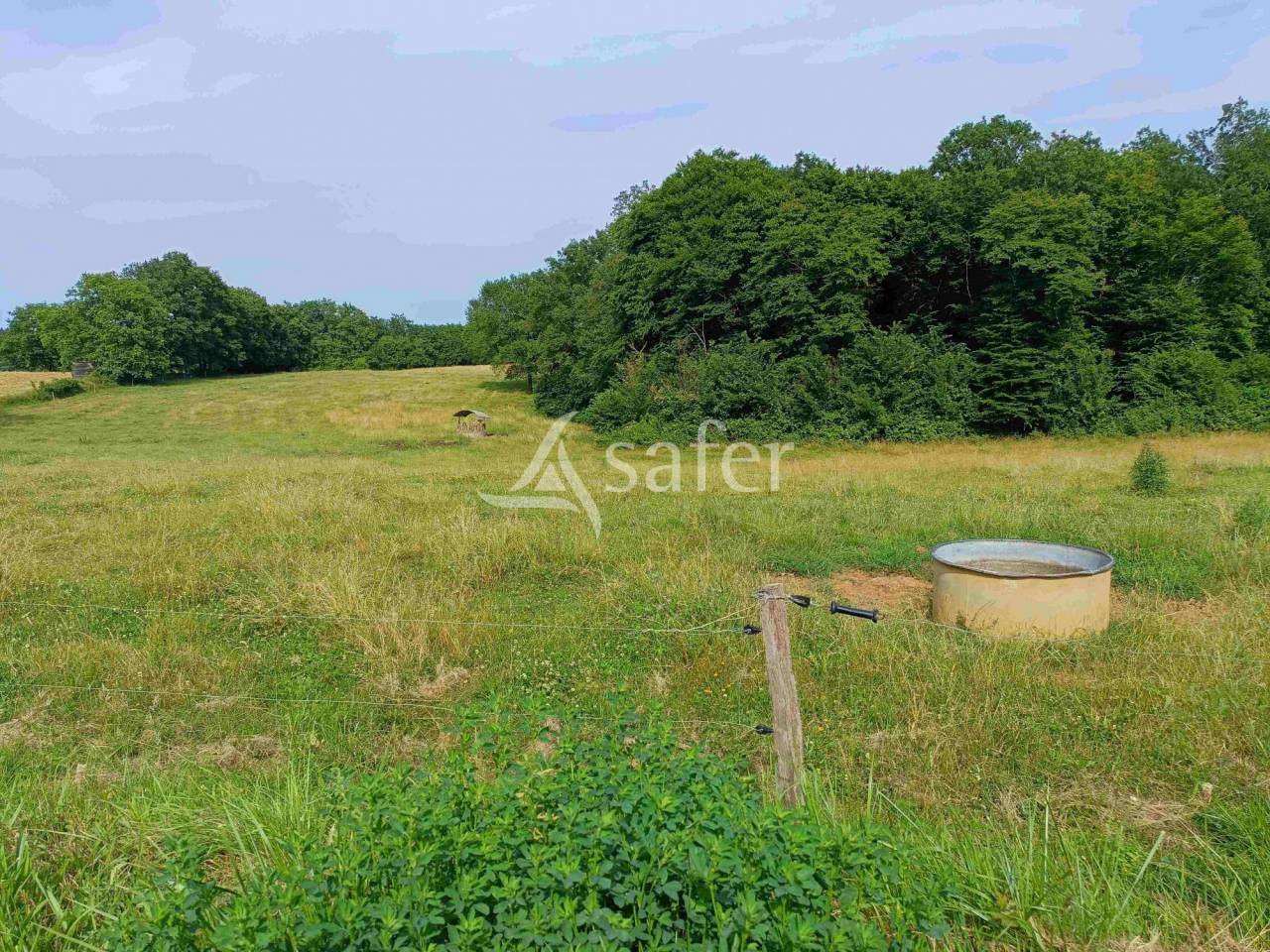 Azienda ovina In vendita Dordogne