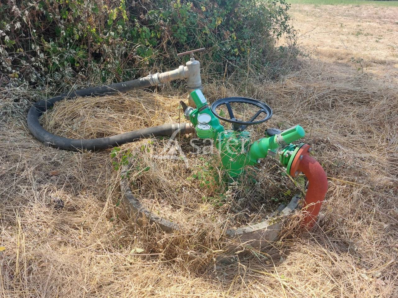 Azienda ovina In vendita Dordogne