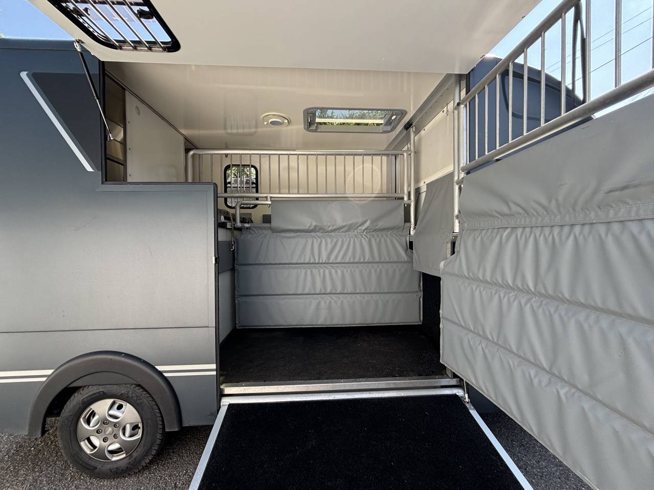 Van per Cavalli - Altra marca - MSG Light 2020 Occasione