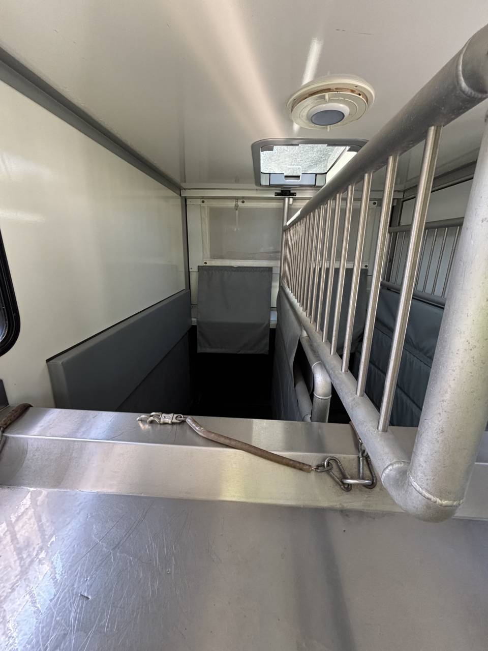 Van per Cavalli - Altra marca - MSG Light 2020 Occasione