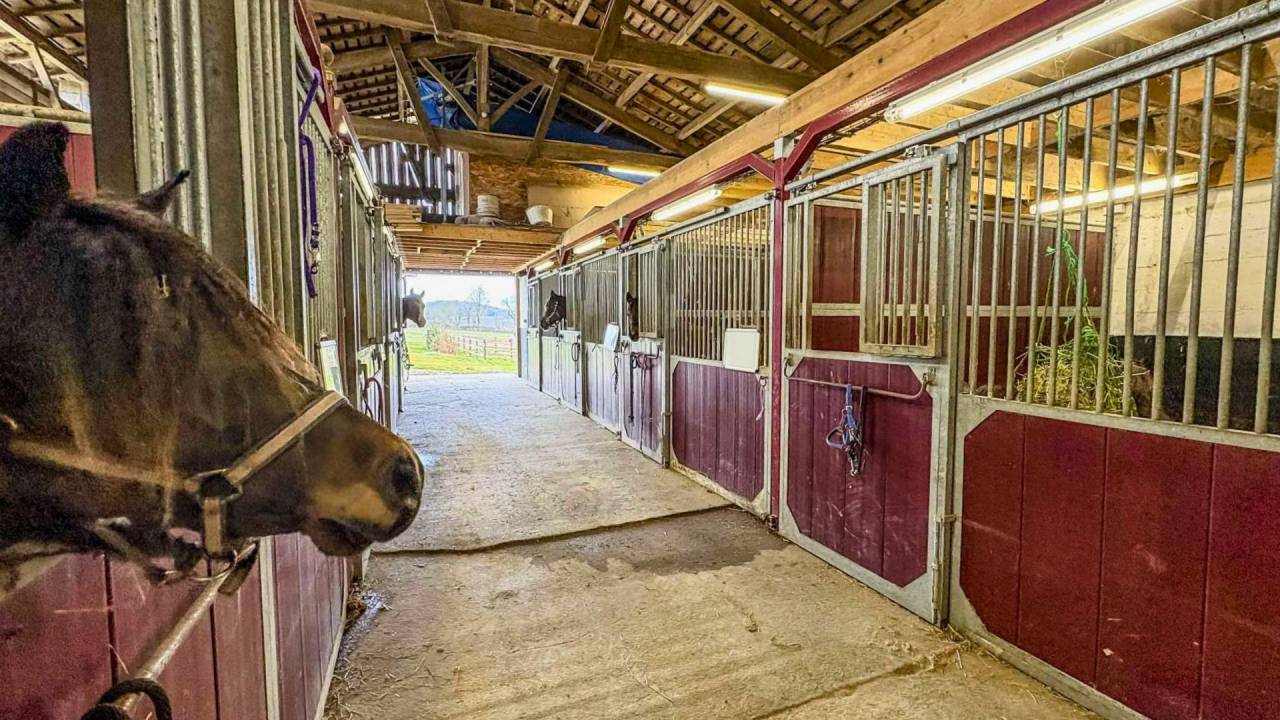 Bella dimora equestre In vendita Lot-et-Garonne