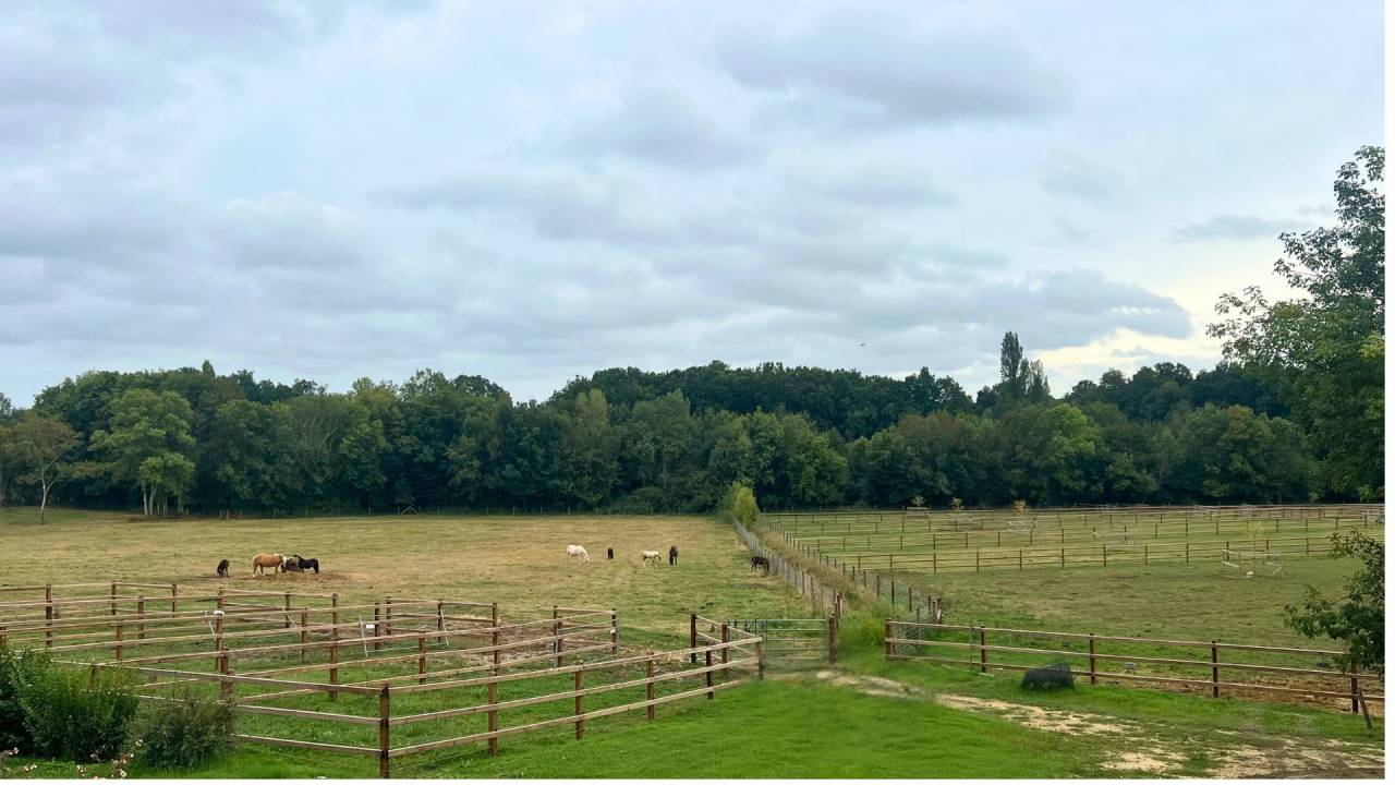 Bella dimora equestre In vendita Lot-et-Garonne