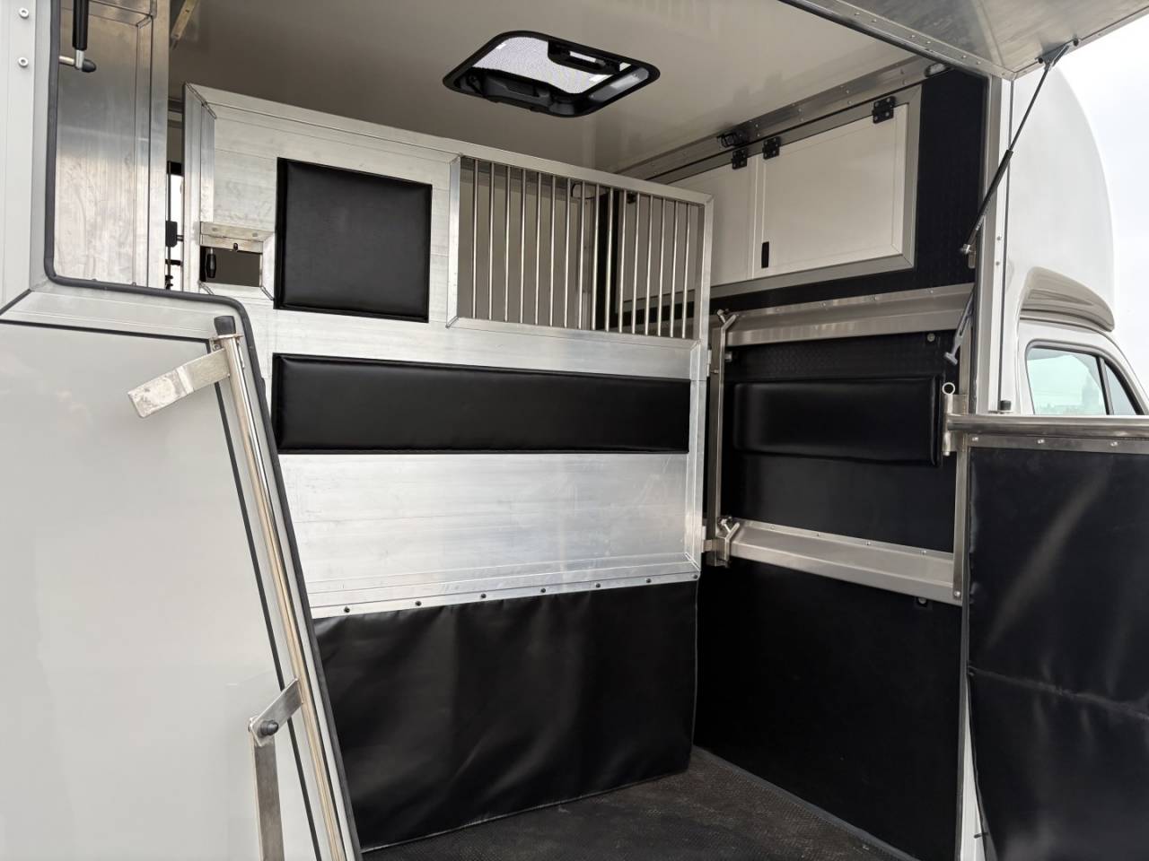 Van per Cavalli Renault Master 2022 Nuovo