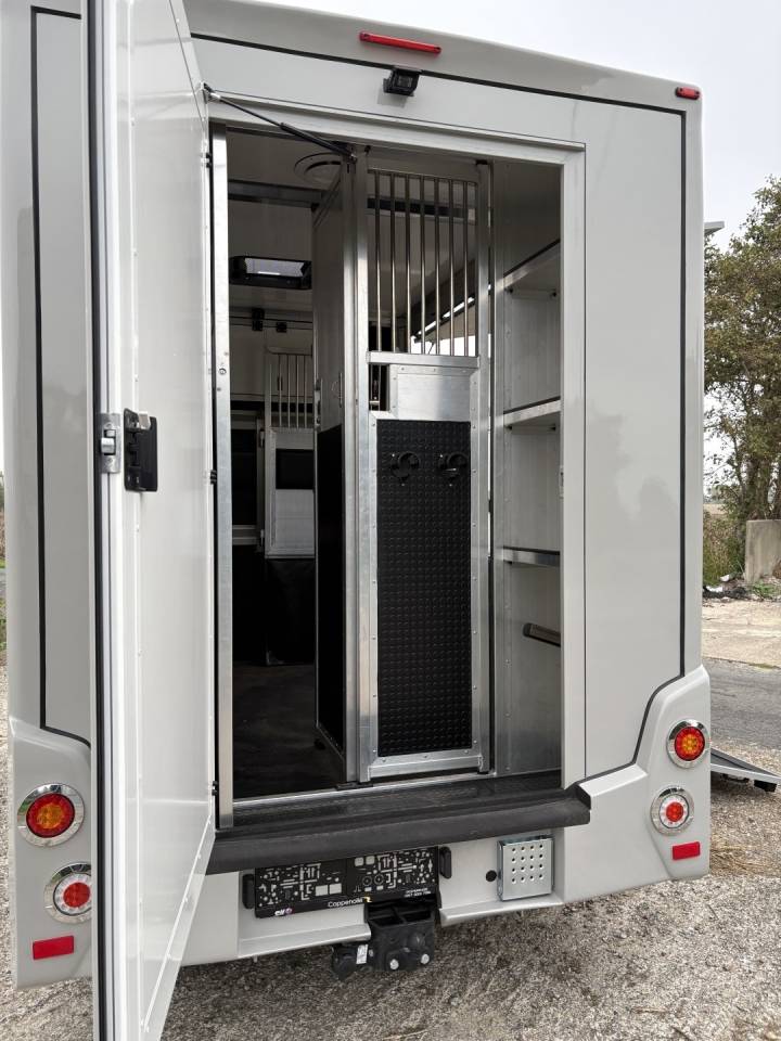 Van per Cavalli Renault Master 2022 Nuovo