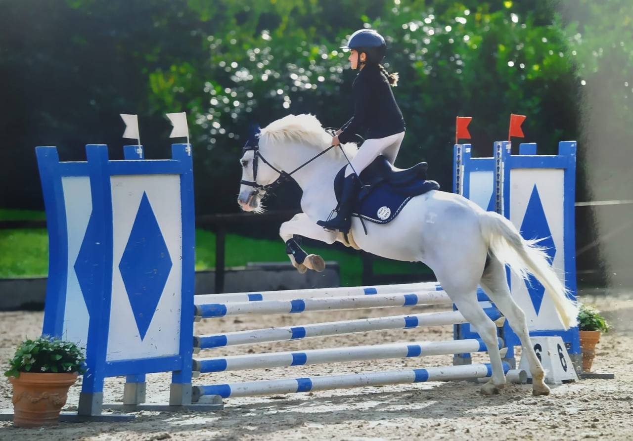  In vendita Pony  da salto Ostacoli – 135 cm 