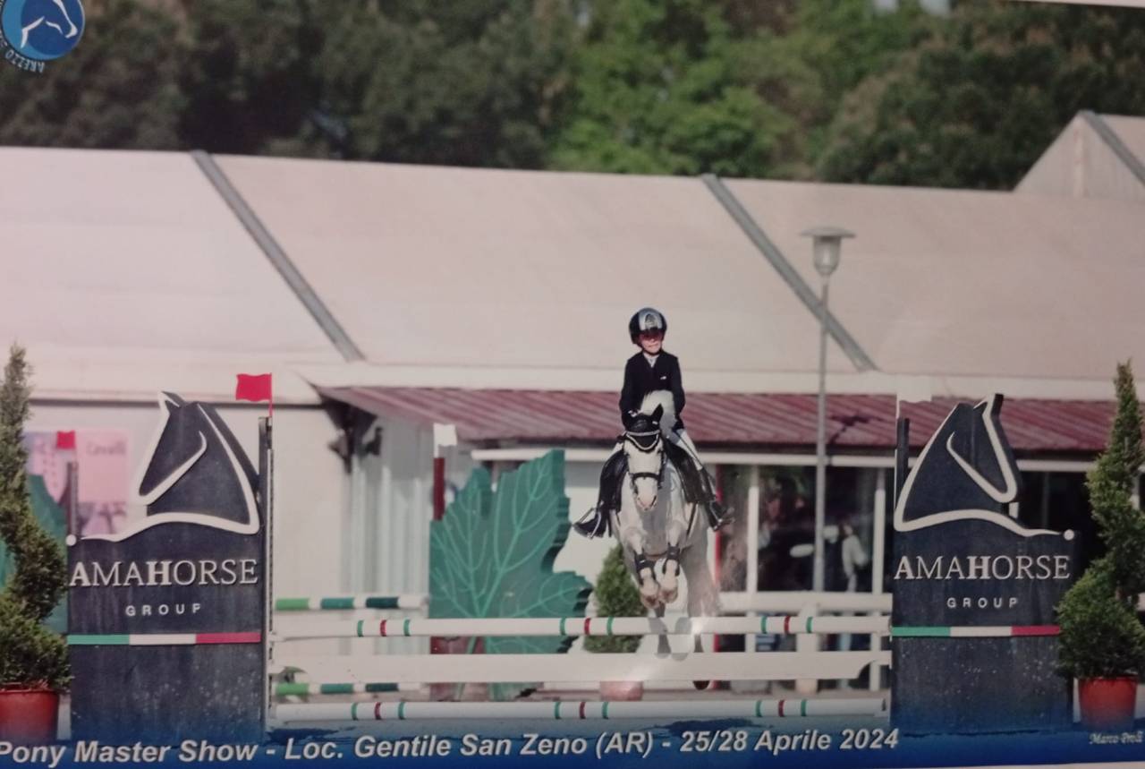  In vendita Pony  da salto Ostacoli – 135 cm 