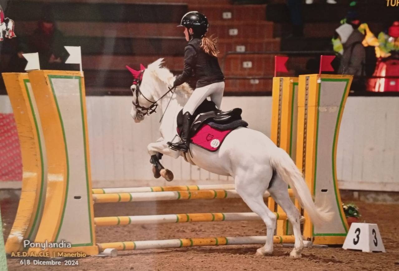  In vendita Pony  da salto Ostacoli – 135 cm 