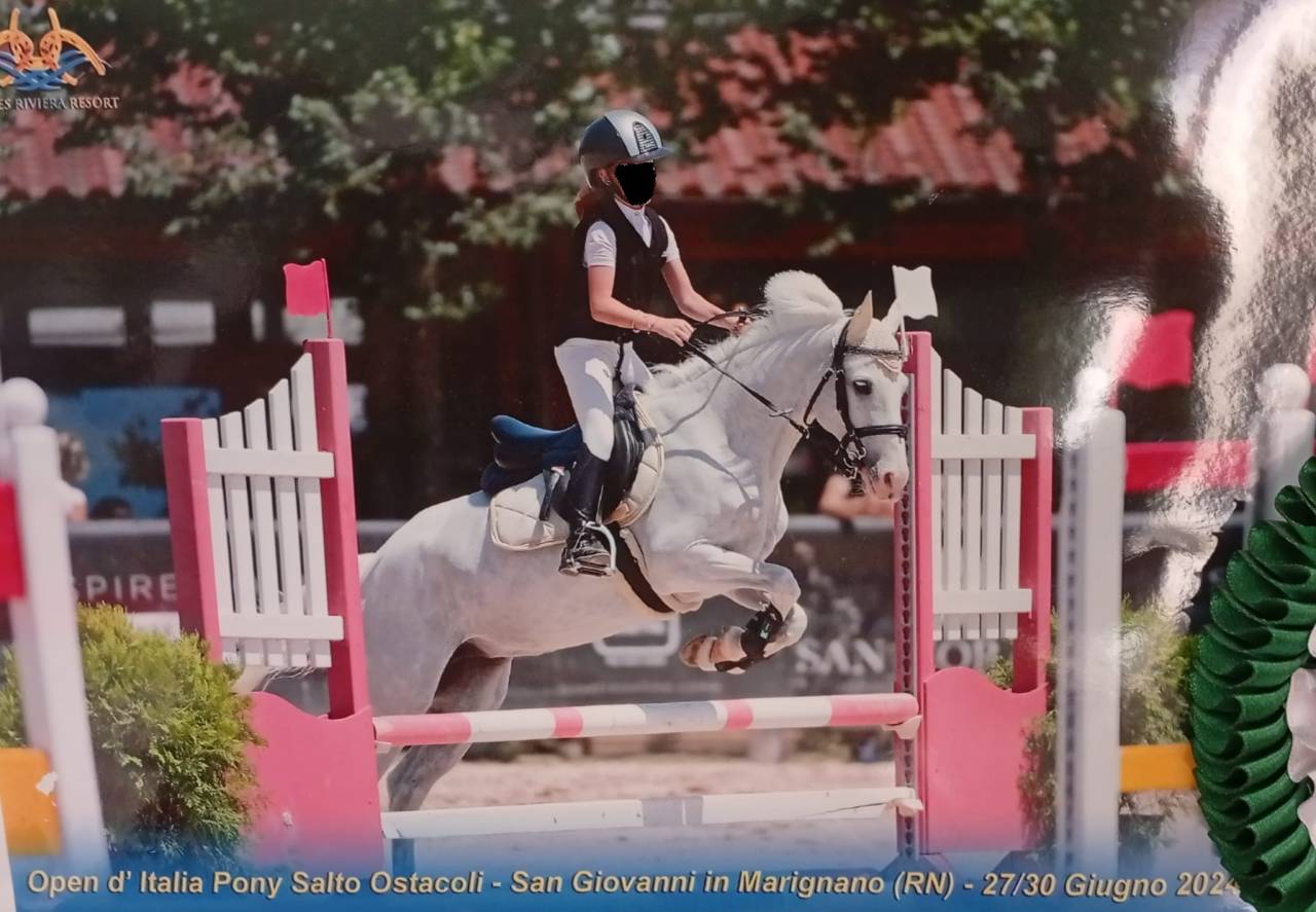  In vendita Pony  da salto Ostacoli – 135 cm 