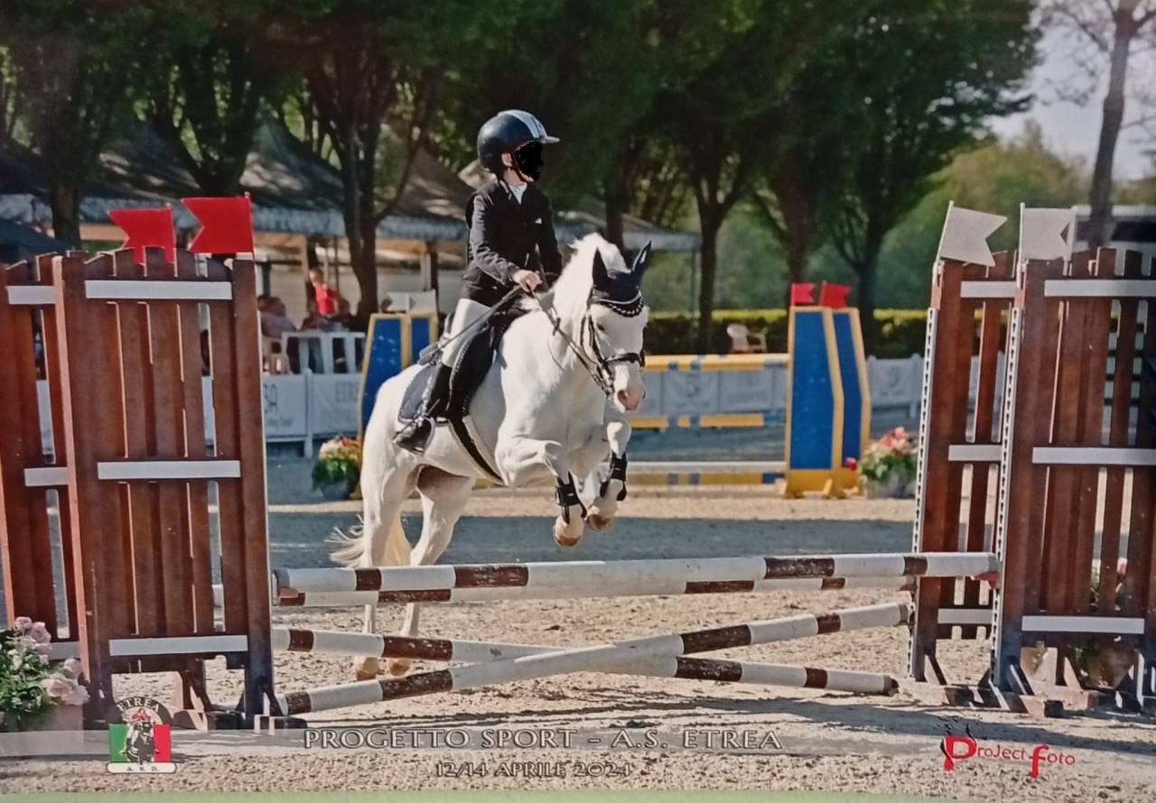  In vendita Pony  da salto Ostacoli – 135 cm 
