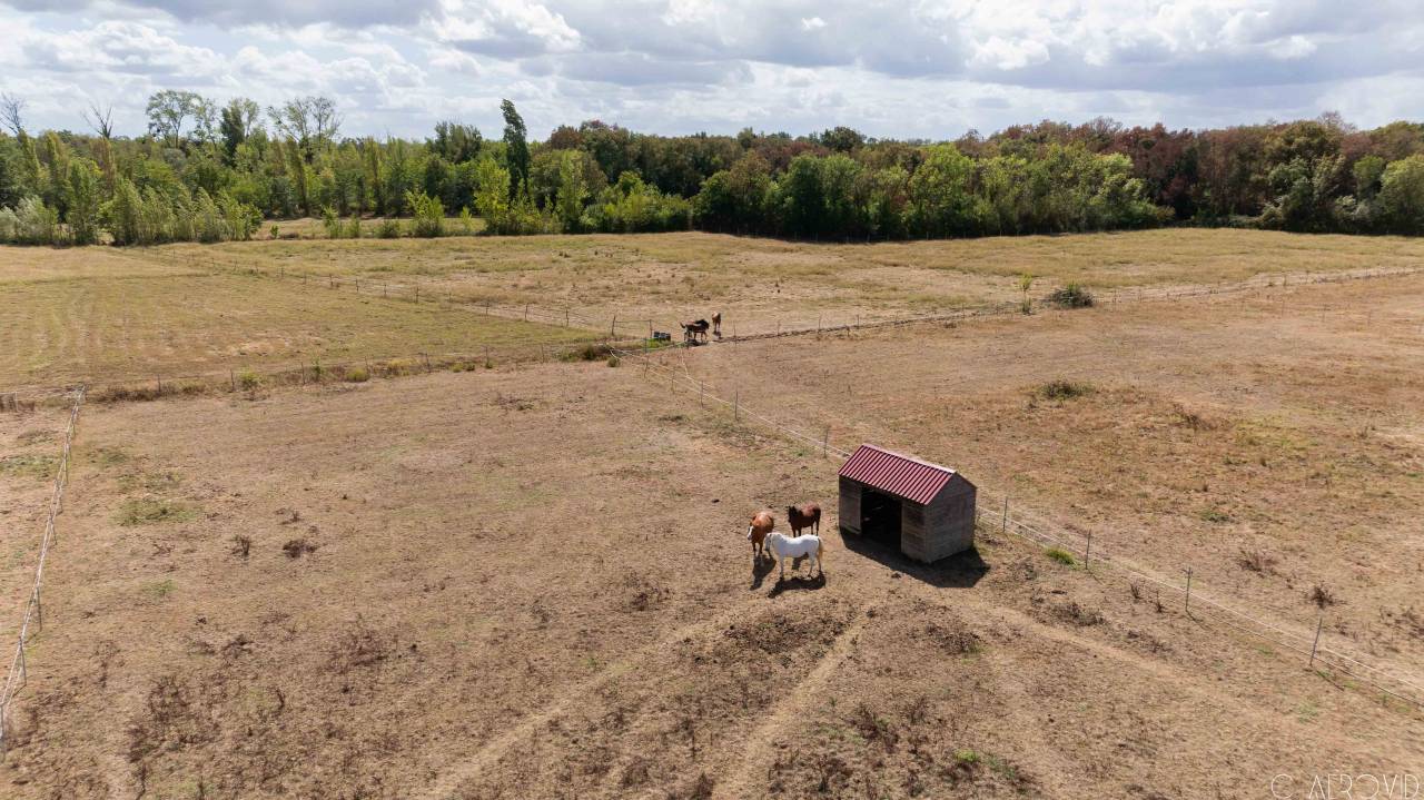 Proprietà equestre In vendita Gironde