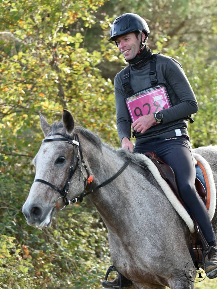 Castrone Arabo In vendita 2016 Roano