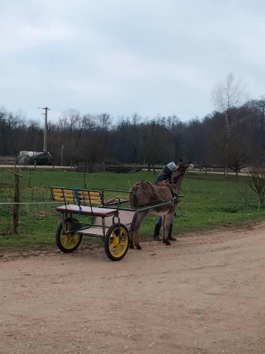 Attacchi - Sulky pony - Altra marca -  