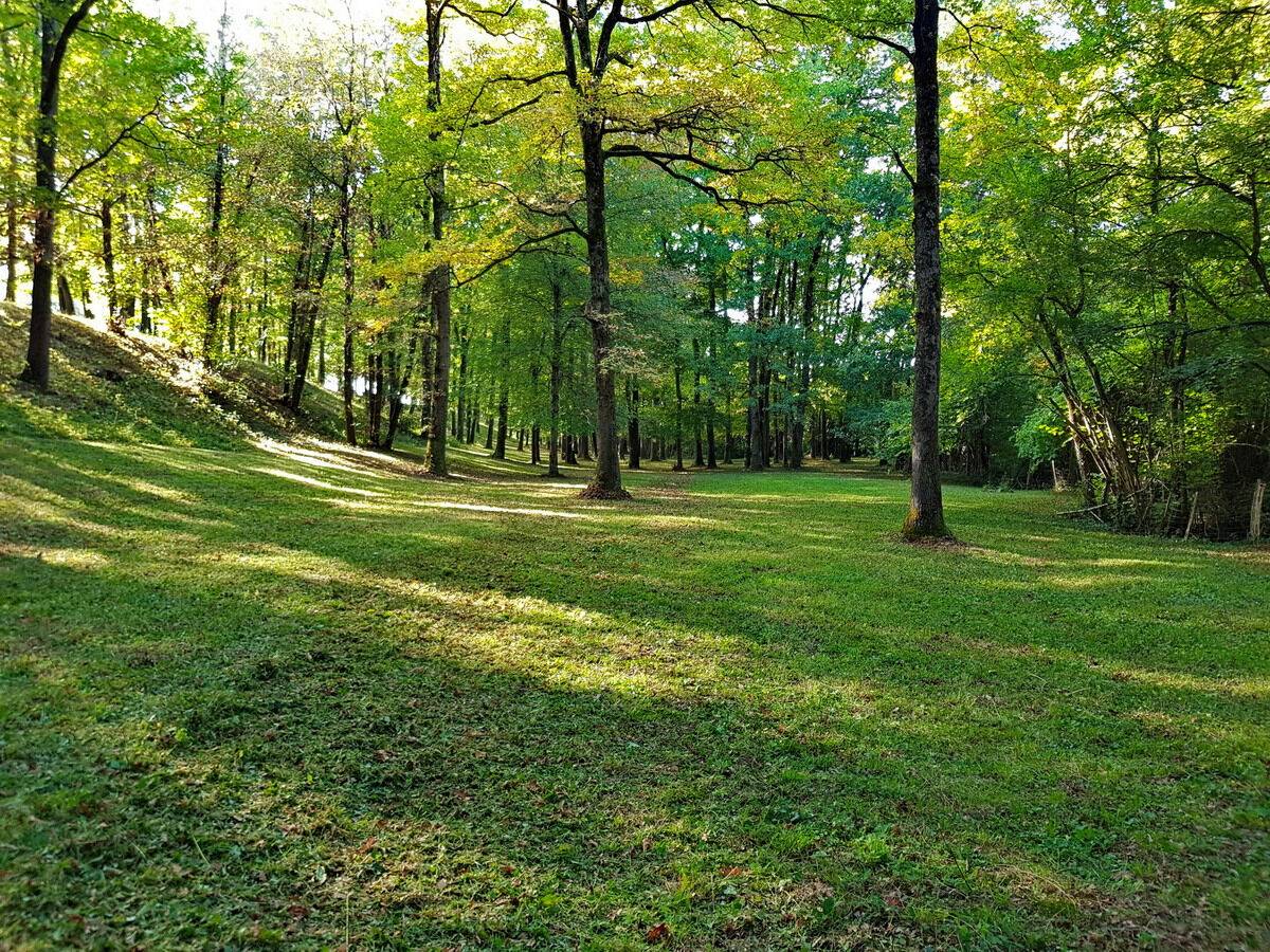 Propriet&agrave; equestre In vendita Haute-Garonne