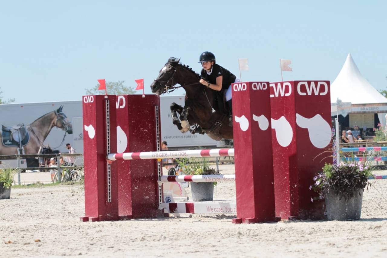 Castrone PFS Pony Francese da Sella In vendita 2015 Nero