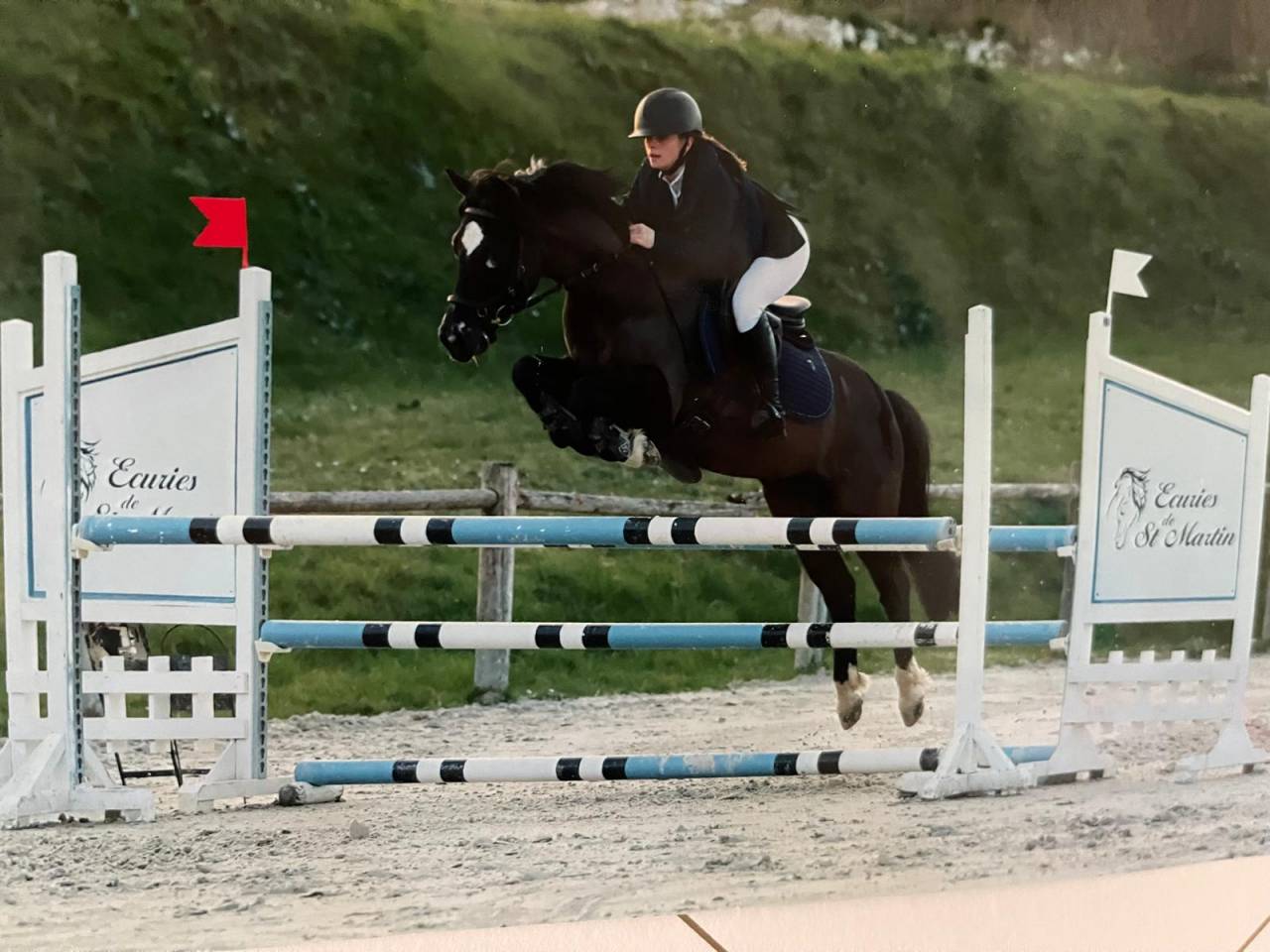 Castrone PFS Pony Francese da Sella In vendita 2015 Nero
