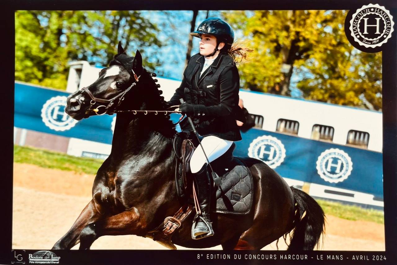 Castrone PFS Pony Francese da Sella In vendita 2015 Nero