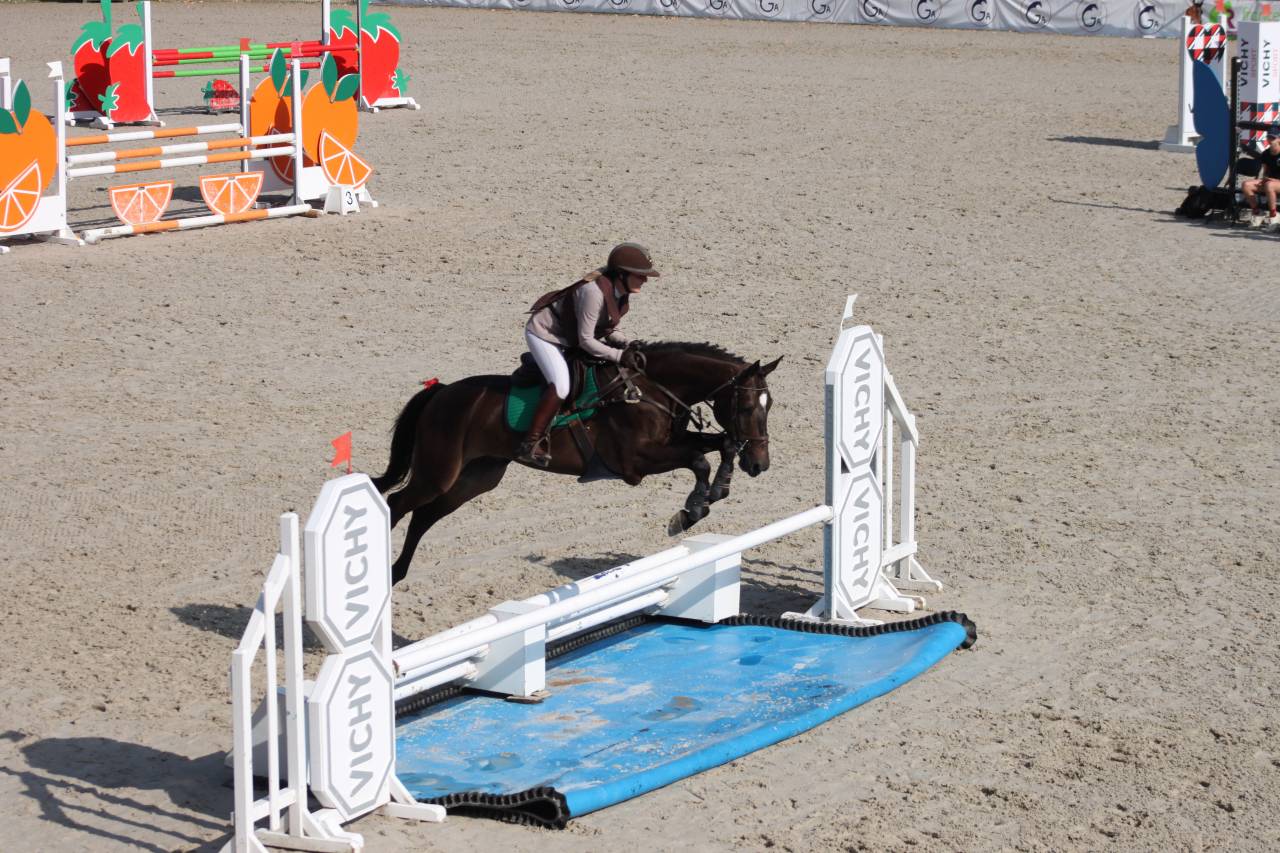 Castrone Sella Francese In vendita 2020 Baio ,  Rêve du paradis