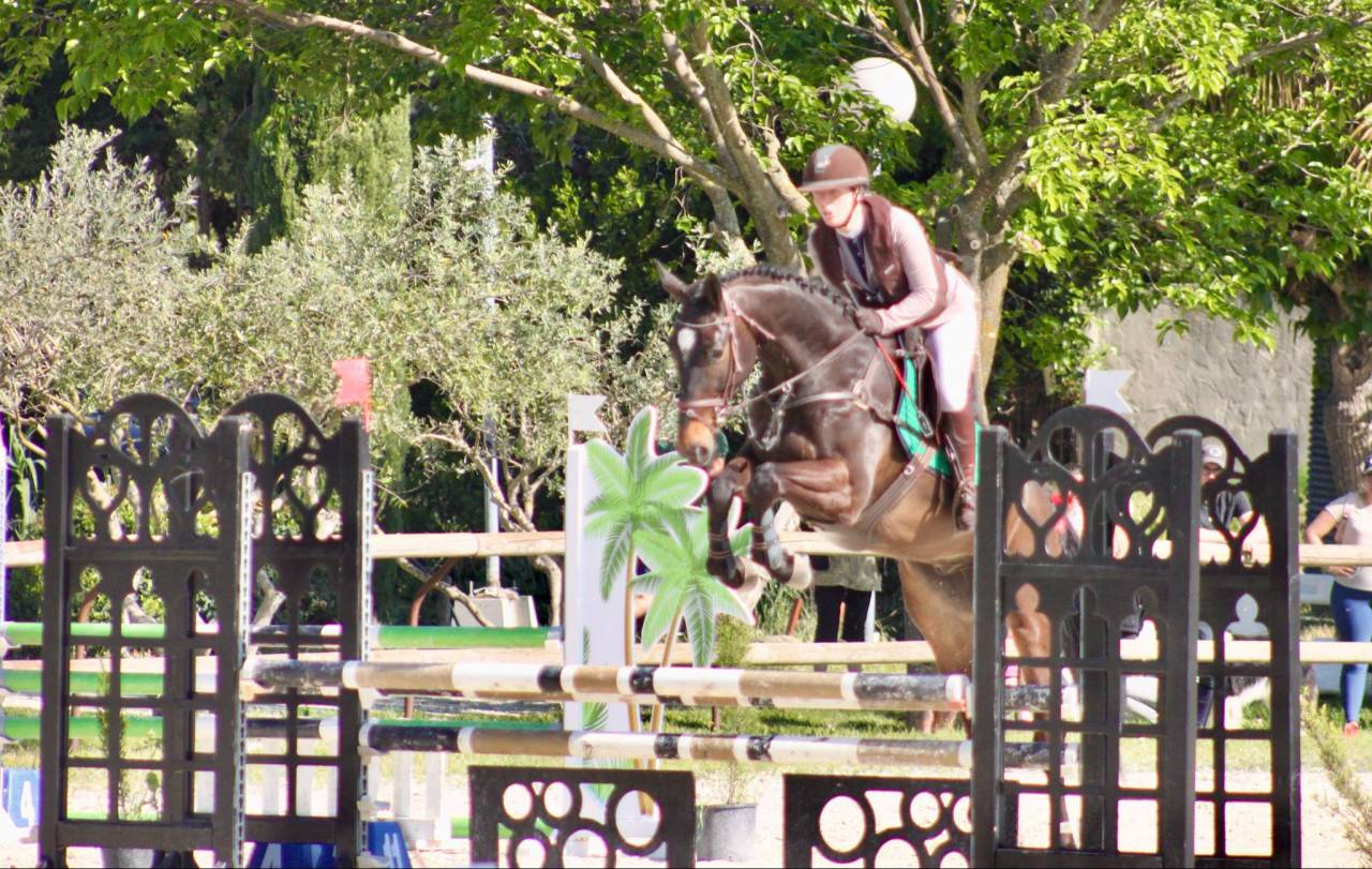 Castrone Sella Francese In vendita 2020 Baio ,  Rêve du paradis