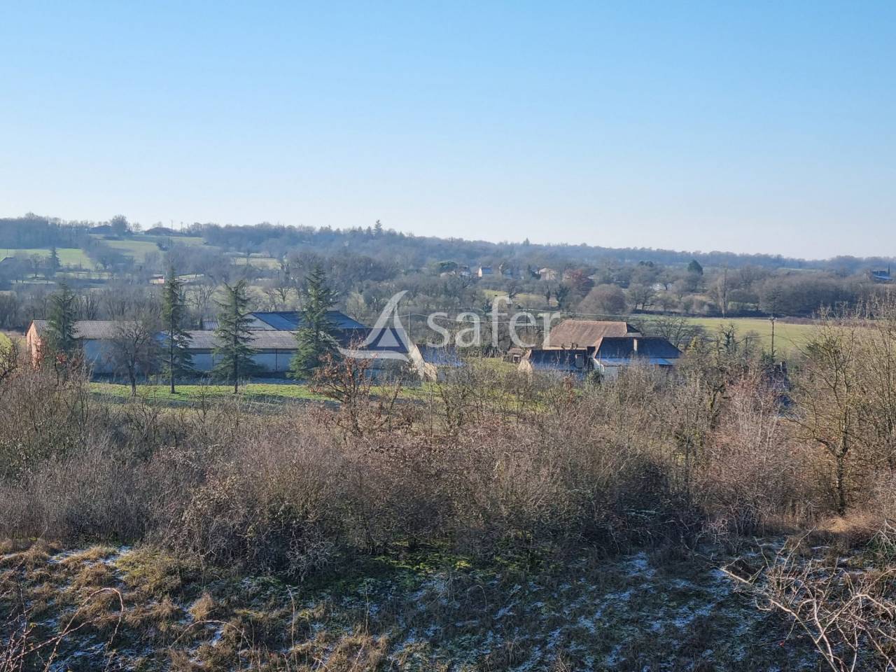 Azienda ovina In vendita Lot